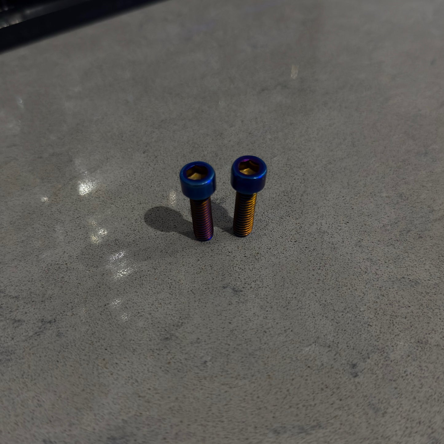 Ultra Bee Brake Mount Titanium Bolts